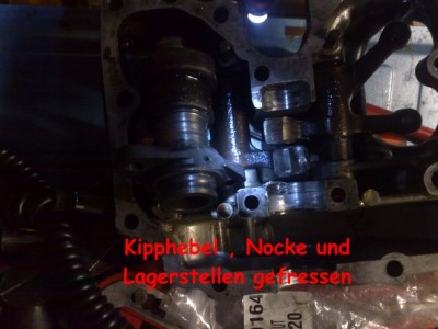 Nocke kipph XL.jpg