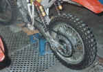 bild4.jpg (81206 Byte)