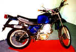 Xl500s.jpg (53050 Byte)