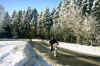 PICT0127.jpg (24242 Byte)