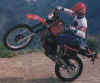 1.jpg (30949 Byte)
