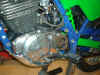 im000184.jpg (460494 Byte)