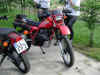 bikes_1.jpg (55541 Byte)